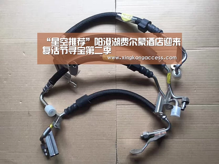 “星空推荐”阳澄湖费尔蒙酒店迎来复活节寻宝第二季(图2) 星空网站
